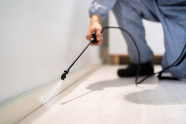 Bed Bug Pre-Treatment Preparation Assessment in Sharonville