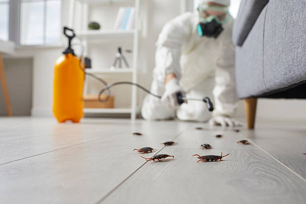 Post-Treatment Bed Bug Interceptor Monitoring in Sharonville